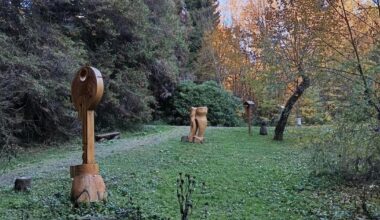 Kysihýbel Arboretum: A forest art walk in Banská Štiavnica, Slovakia