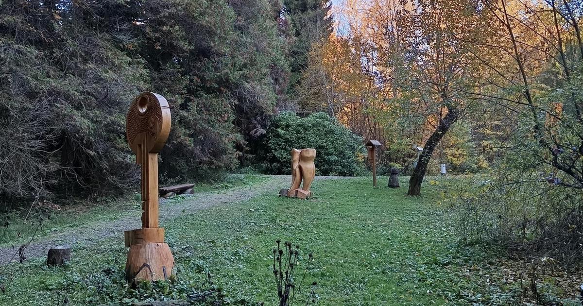 Kysihýbel Arboretum: A forest art walk in Banská Štiavnica, Slovakia