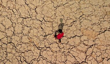 Iran says 67% of dams empty as autumn rains fail, capital braces for rationing