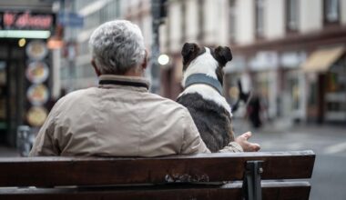 Grüne wollen an der "Rente mit 63" rütteln