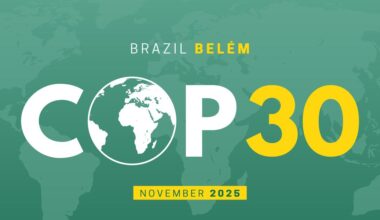 What to expect from the Rainforest COP, Julia Voskoboinikova, Sara Feijao, Gilly Hutchinson