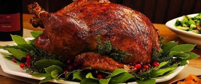 Thanksgiving Turkey