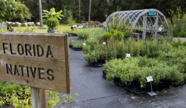 Florida-Friendly landscape professionals are good for the environment, your wallet | The Apopka Voice