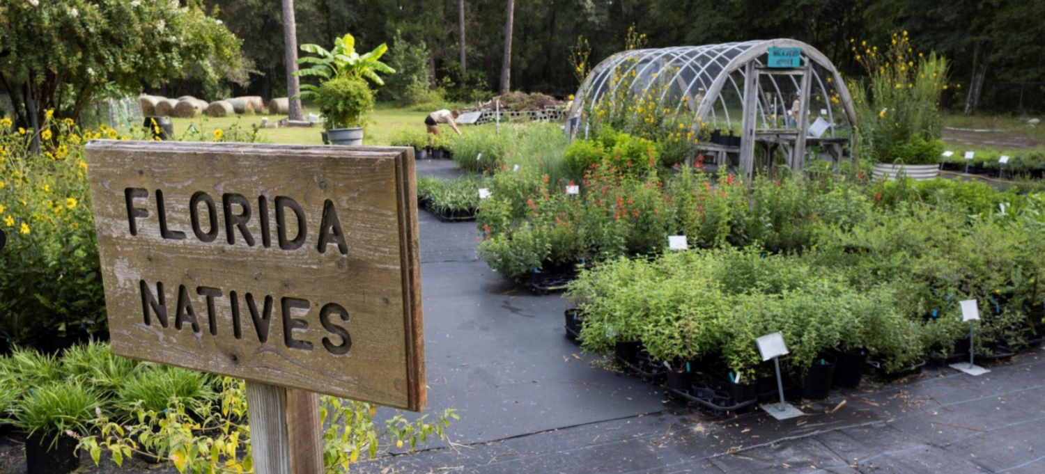 Florida-Friendly landscape professionals are good for the environment, your wallet | The Apopka Voice