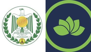 Somaliland Central Bank denies Premier Bank role in Somalia’s E-Visa payment system