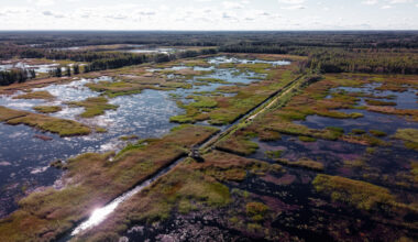 Latvijas vēsturisko kūdras vietu revitalizācijas programma