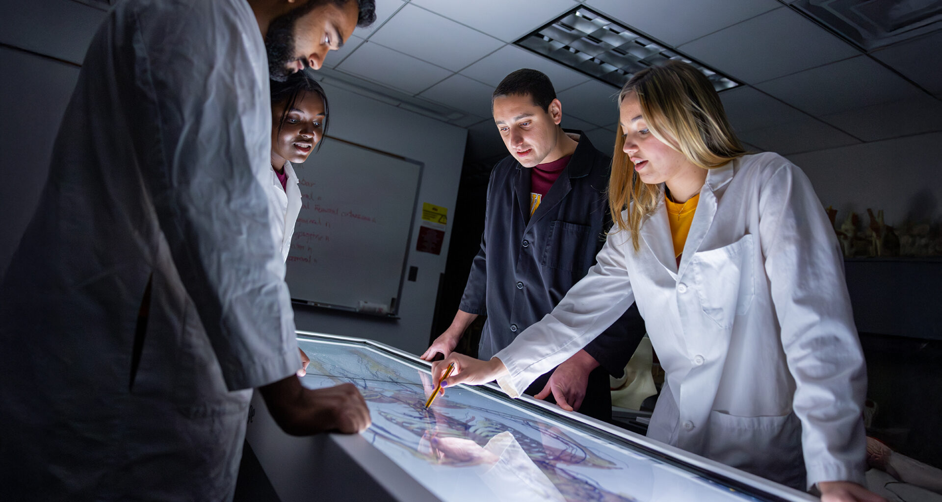 ASU named one of the world’s top universities for interdisciplinary science