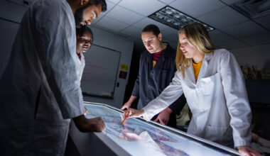 ASU named one of the world’s top universities for interdisciplinary science