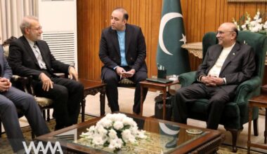 Larijani–Zardari Meeting. Social media / WANA News Agency