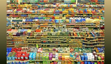 Garden Cafe: Probiotic Snack Plant in Bulgaria