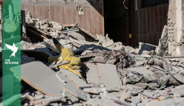 Israel weighs Lebanon-style action in Syria after Beit Jinn raid