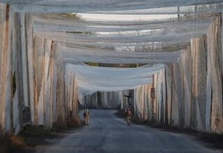 I think everyone has already seen the photos of hundreds of kilometers of fishing nets being used in Ukraine to stop Russian drones. But not many people actually know where all these nets come from. So here are three stories behind them: