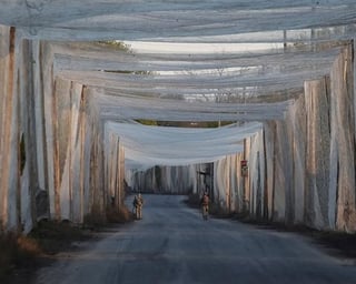 I think everyone has already seen the photos of hundreds of kilometers of fishing nets being used in Ukraine to stop Russian drones. But not many people actually know where all these nets come from. So here are three stories behind them: