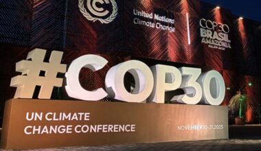 Climate change real, will declare NDC by Dec: India tells UN COP30