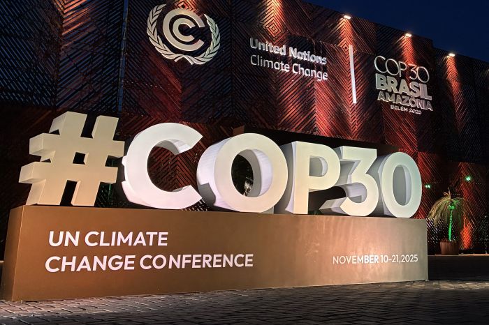 Climate change real, will declare NDC by Dec: India tells UN COP30