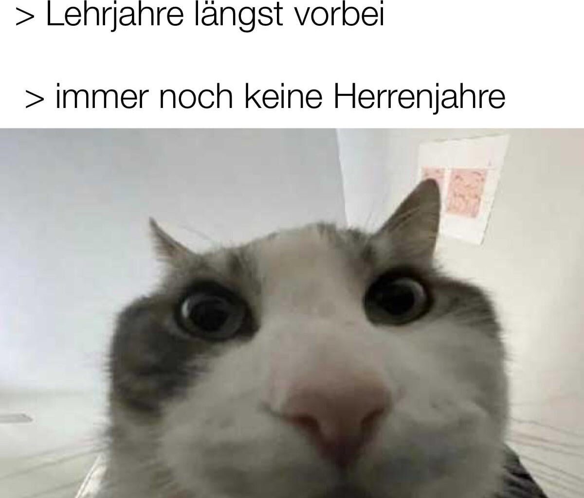 ich_iel