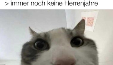 ich_iel