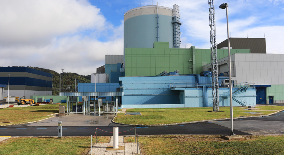 Wiadomo kiedy ruszy druga polska elektrownia atomowa. Wkrótce kluczowe decyzje