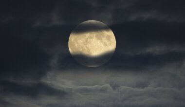 Księżyc Bobrów 2025. Nadchodzi superpełnia Księżyca. Kiedy i gdzie oglądać? - Polska