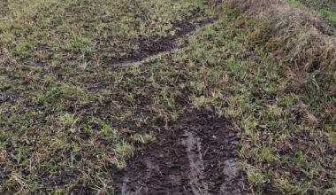 Malechy - zdarzenie drogowe! - Aktualności