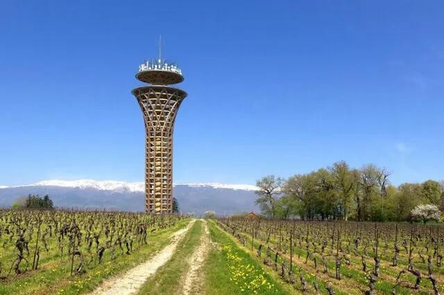 Tour d’observation en bois dans un vignoble avec des montagnes enneigées à l’horizon sous un ciel bleu vif. Tour d’observation en bois dans un vignoble avec des montagnes enneigées à l’horizon sous un ciel bleu vif.
