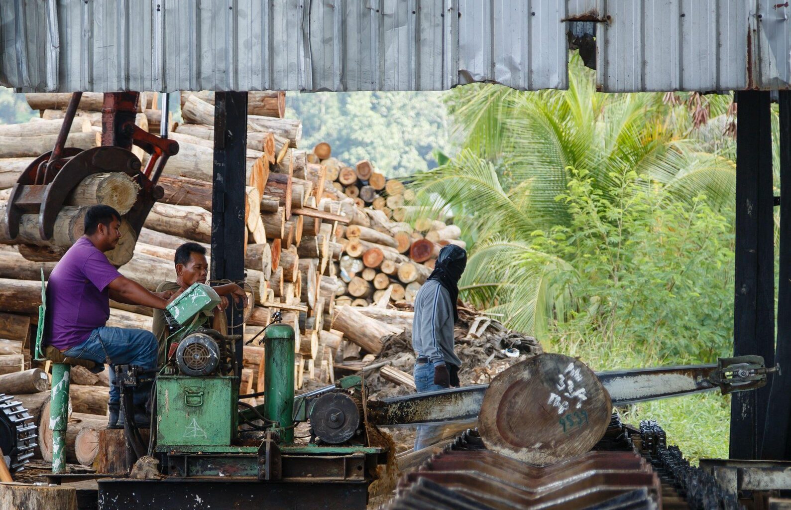 Netherlands Upholds Malaysia’s PEFC Standard After Major Review