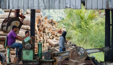 Netherlands Upholds Malaysia’s PEFC Standard After Major Review