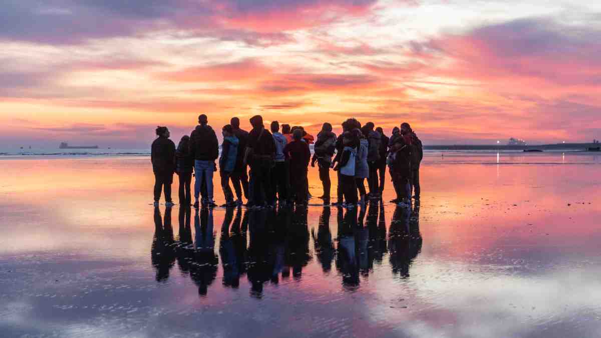 Asylum seekers account for almost half of net migration