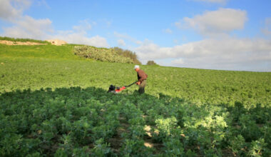 Malta’s misfiring of Organic Food Action Plan