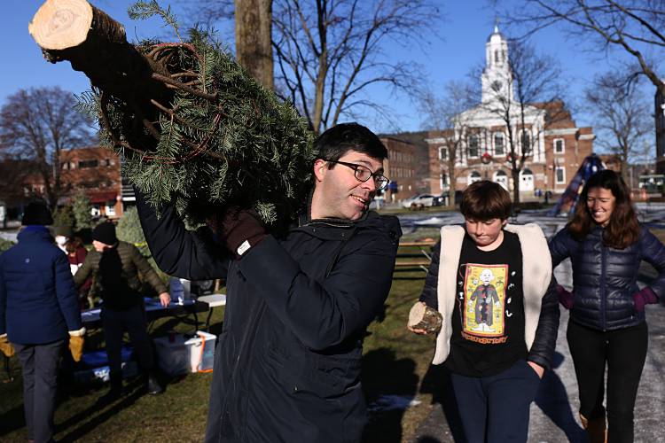 Natural Christmas trees gain edge over artificial trees