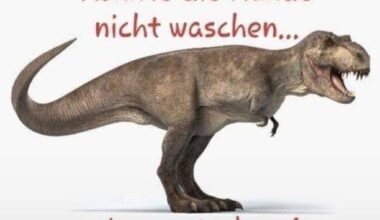 Immer schön die Hände waschen!