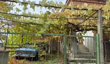 Small trip around Strandzha