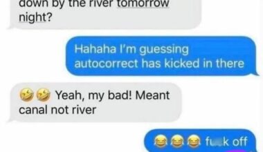 Only political memes allowed here...