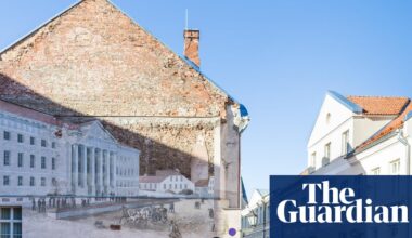 DNA reveals stone age teenager as chewer of 10,500-year-old ‘gum’ | Archaeology