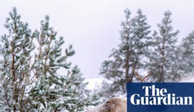 Wintry conditions to last in coastal areas after up to 7cm of snow fell in parts of UK | UK weather