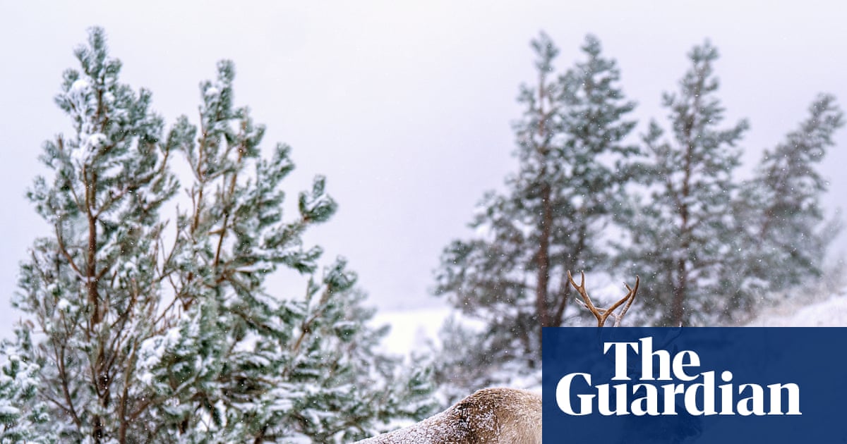 Wintry conditions to last in coastal areas after up to 7cm of snow fell in parts of UK | UK weather