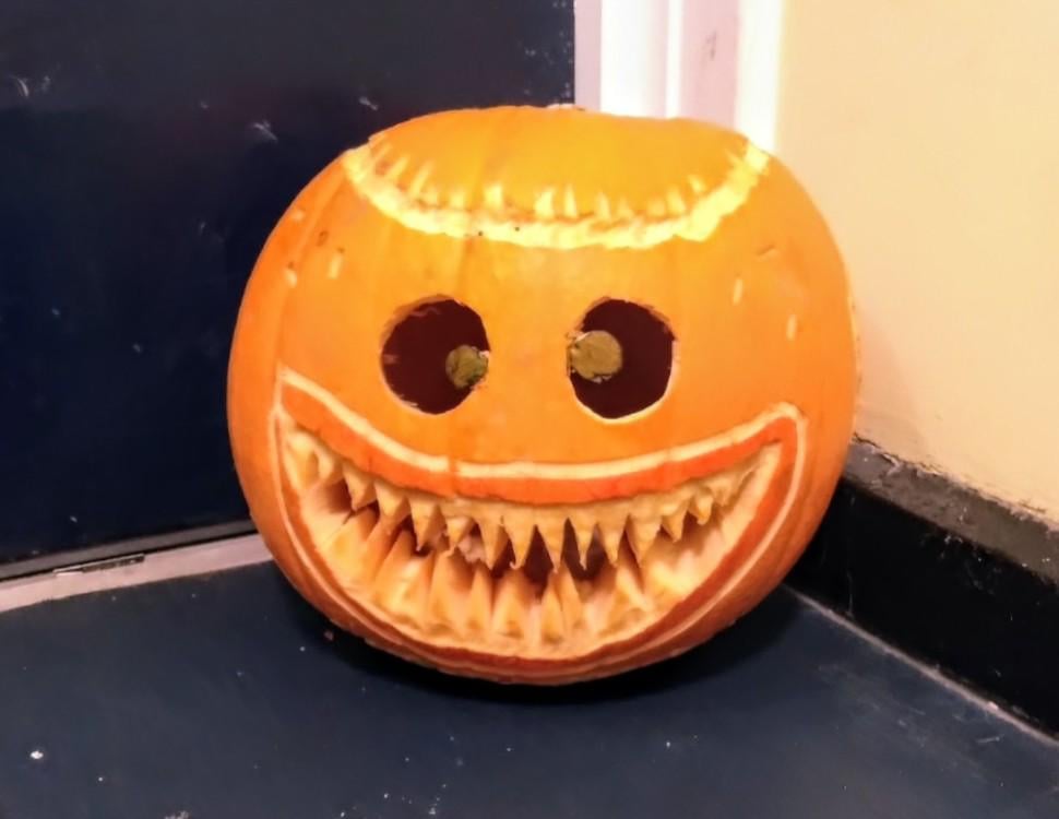 My dog refused to walk past this bloody thing.