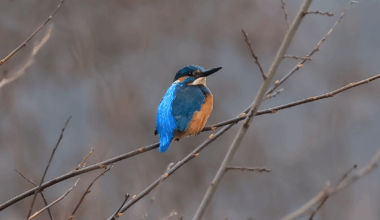 Absolutes Glück bei der Fototour