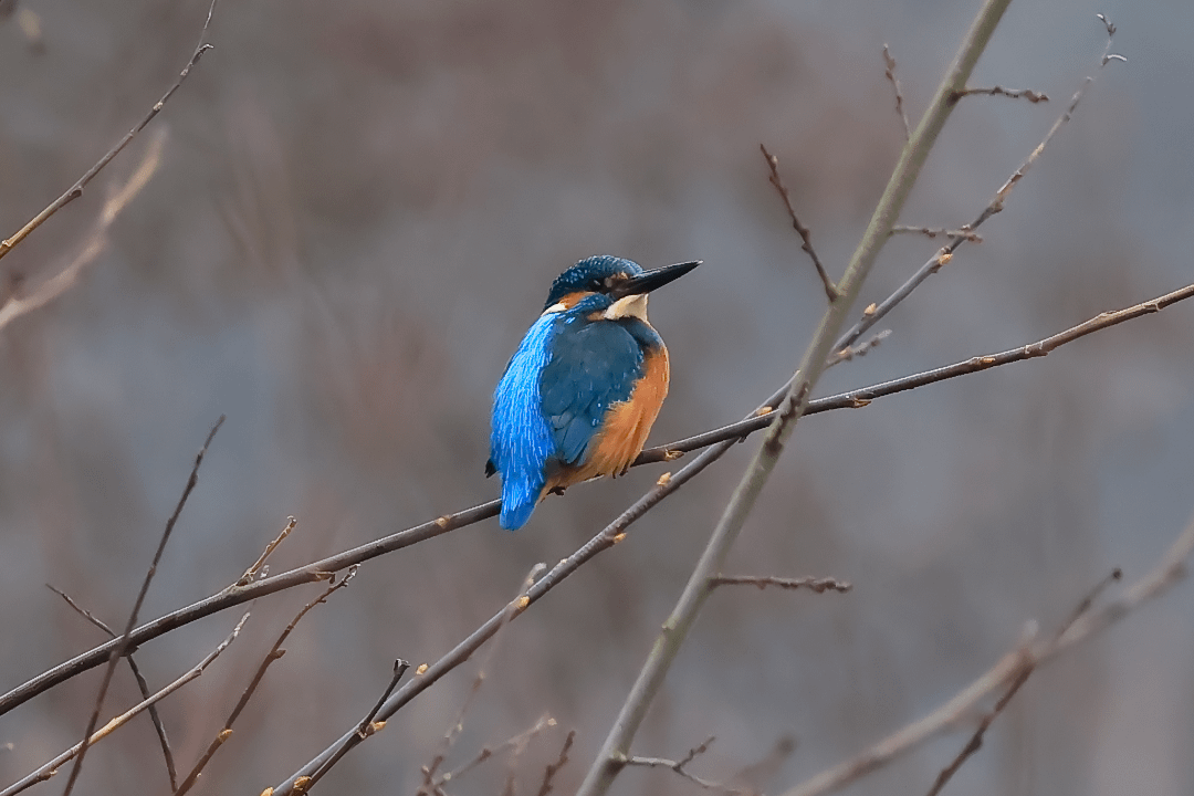 Absolutes Glück bei der Fototour