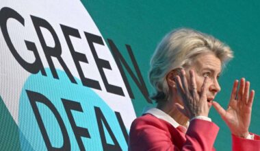 „Das Bild von Europa als Vorreiter beim Klimaschutz ist nicht mehr zeitgemäß“