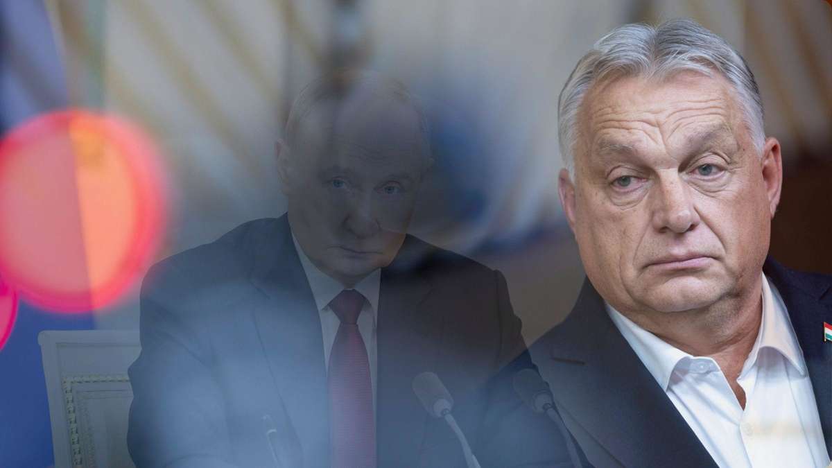 „Lächerlich!“ – Attacke auf NATO-Warnungen vor Putin