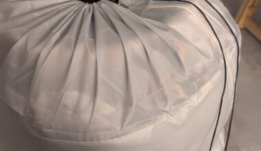 Kann ich mein Olivenbäumchen so überwintern?