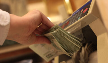 Polska włożyła dużo wysiłków, żeby doszło do deregulacji przepisów UE