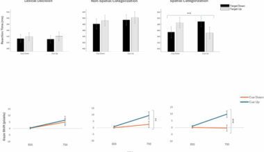 Lexical priming of space depends on how deeply you think about it