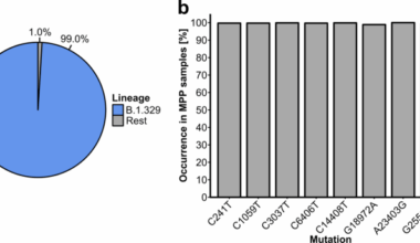 Large-scale SARS-CoV-2 sequencing indicates prior community circulation of the viral strain associated with Germany’s largest meat processing plant