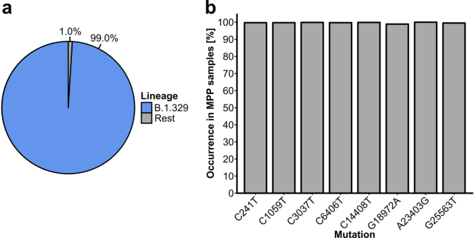 Large-scale SARS-CoV-2 sequencing indicates prior community circulation of the viral strain associated with Germany’s largest meat processing plant