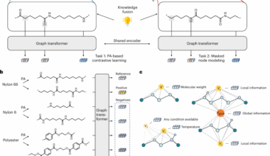 Periodicity-aware deep learning for polymers
