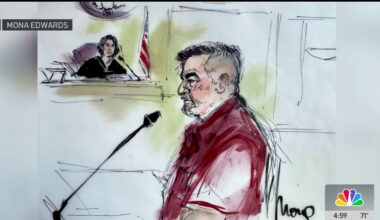 Labor union leader pleads not guilty in LA immigration protest arrest – NBC Los Angeles