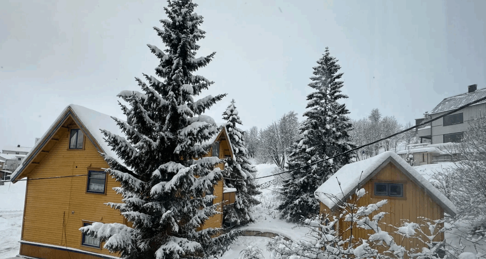 Northern Norway feels the consequences of record-high fossil fuel emissions – Eye on the Arctic