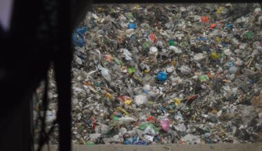 EU states still falling short on waste recycling targets, auditors find